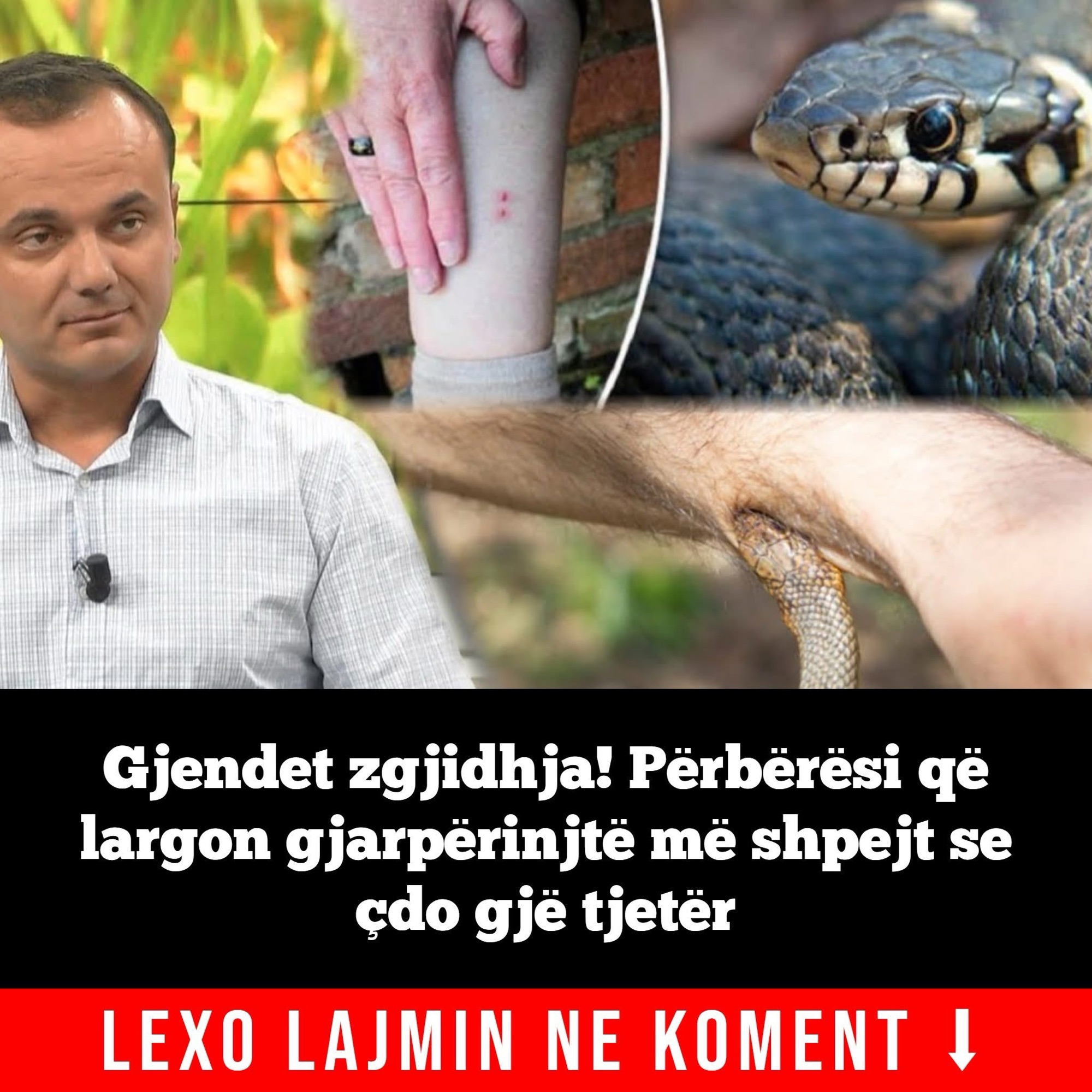 Gjendet zgjidhja! Përbërësi që largon gjarpërinjtë më shpejt se çdo gjë tjetër