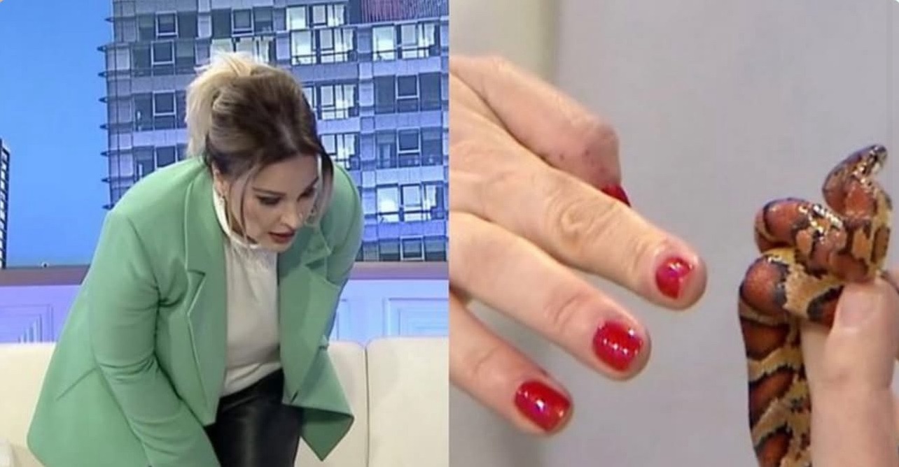 Rudina Magjistari ‘sulmohet’ nga gjarpri live në studio (VIDEO)