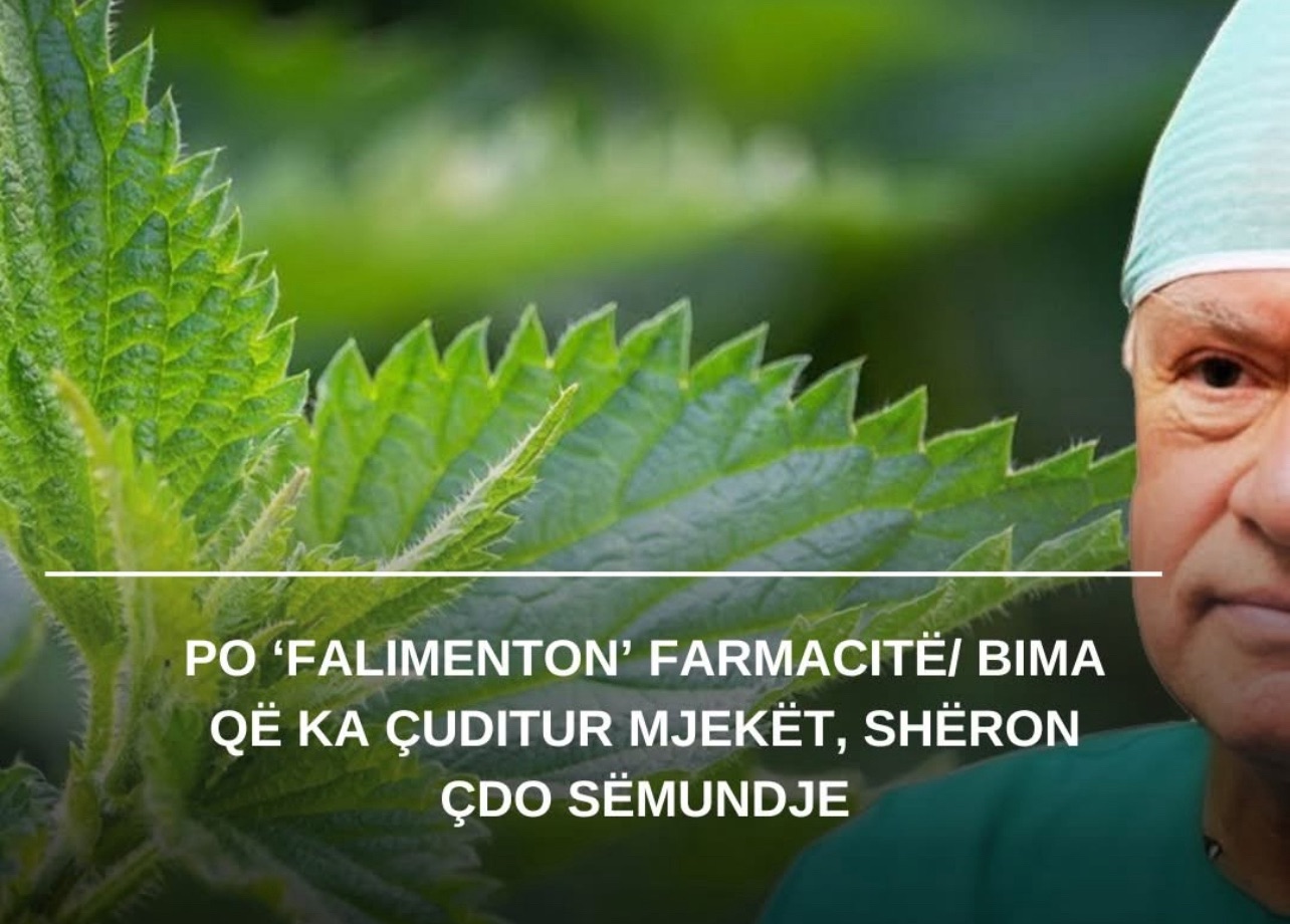 Po ‘falimenton’ farmacitë/ Bima që ka çuditur mjekët, shëron çdo sëmundje