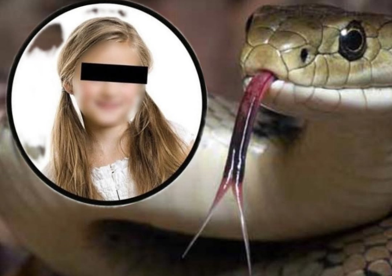 E Reja n Përmet pickohet nga gjarpri , Spitali i bën gjën më të keqe  …