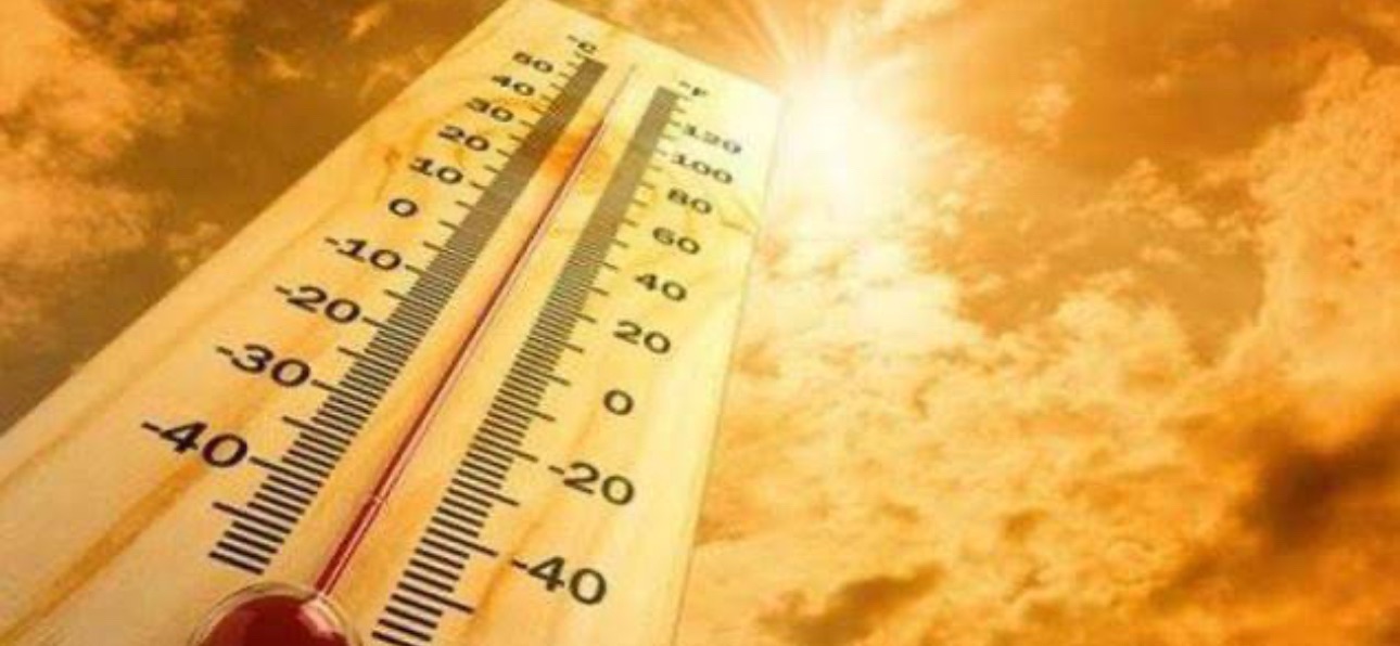 Afrohet vala e të nxehtit, gjendje ALARMI në këto 2 shtete